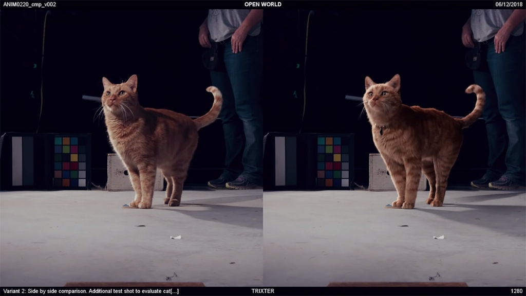 Cat VFX scene