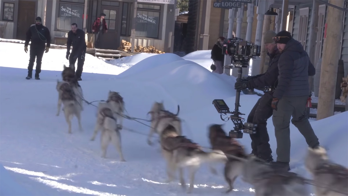 Filming the live-action dogs on set